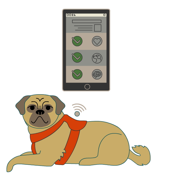 illustrated dog wear荷兰国际集团(ing) a harness that is connect荷兰国际集团(ing) to a phone app